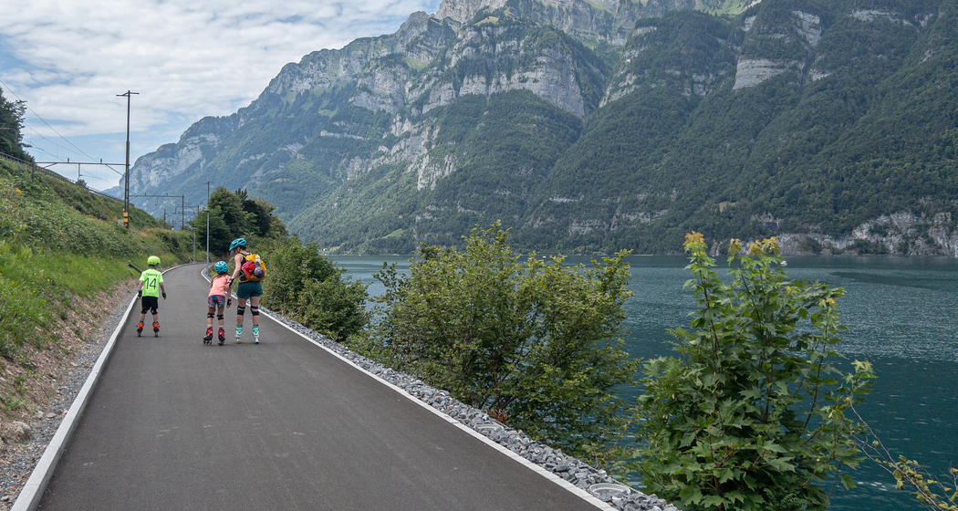 Heidiland Skate (chm_fd0d9bf_img)