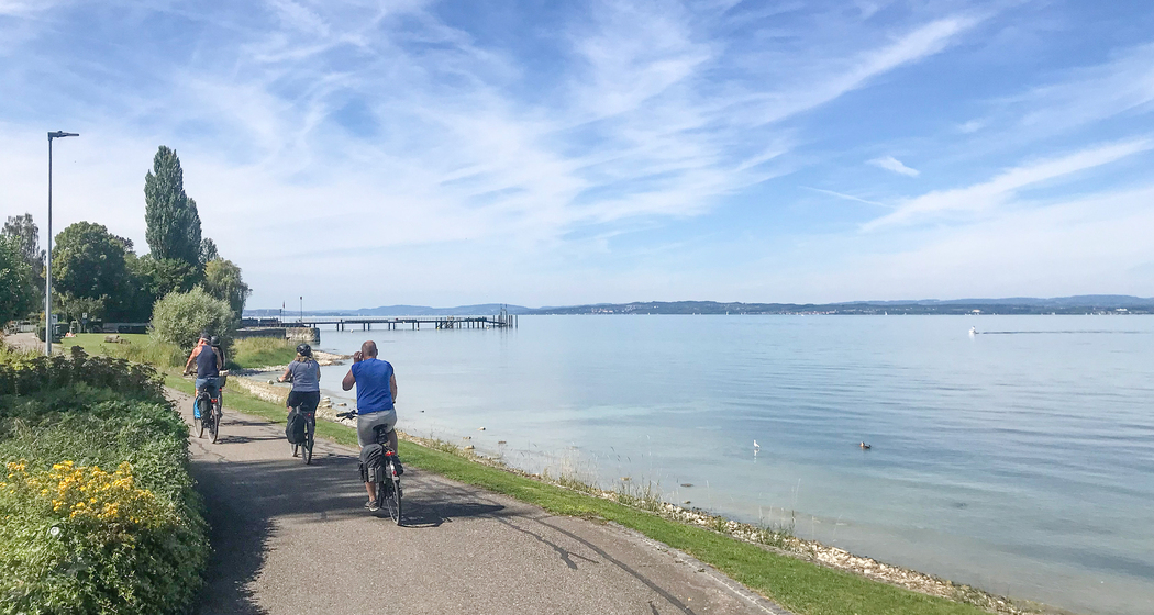 Rhein Skate (chm_ff35c23_img)