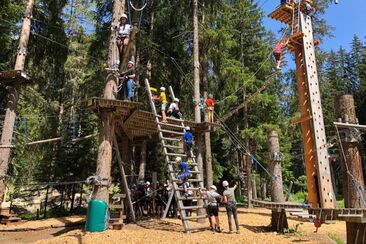 Ticket Seilpark im Davos Adventure Park (exp_163bf4a)