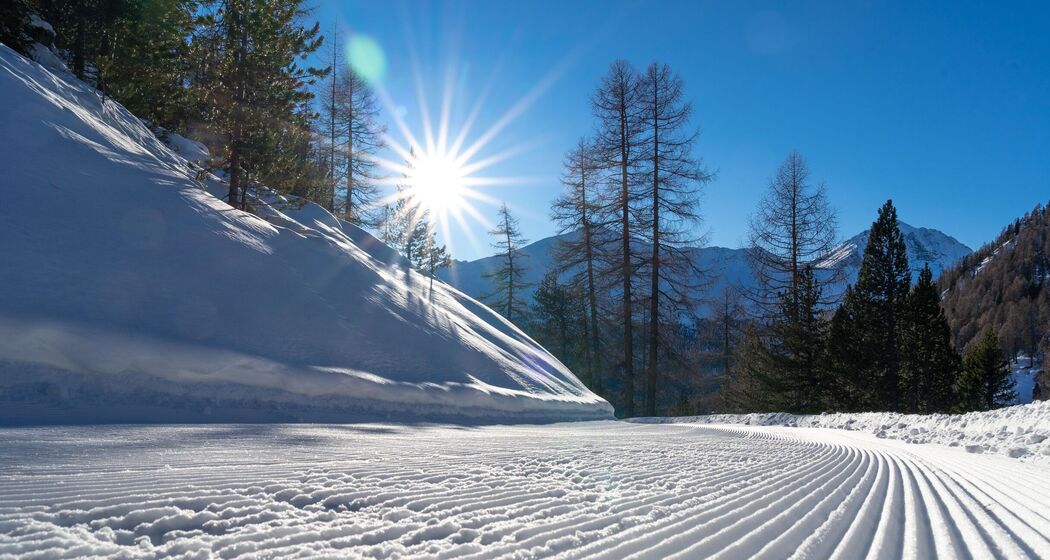 Lawinenkurs Rettung im Val Müstair (exp_40782d2)