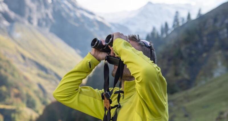 Wildtierbeobachtung Steinbock, Hirsch, Gämse und Co. im Weisstannental (exp_44e0f06)