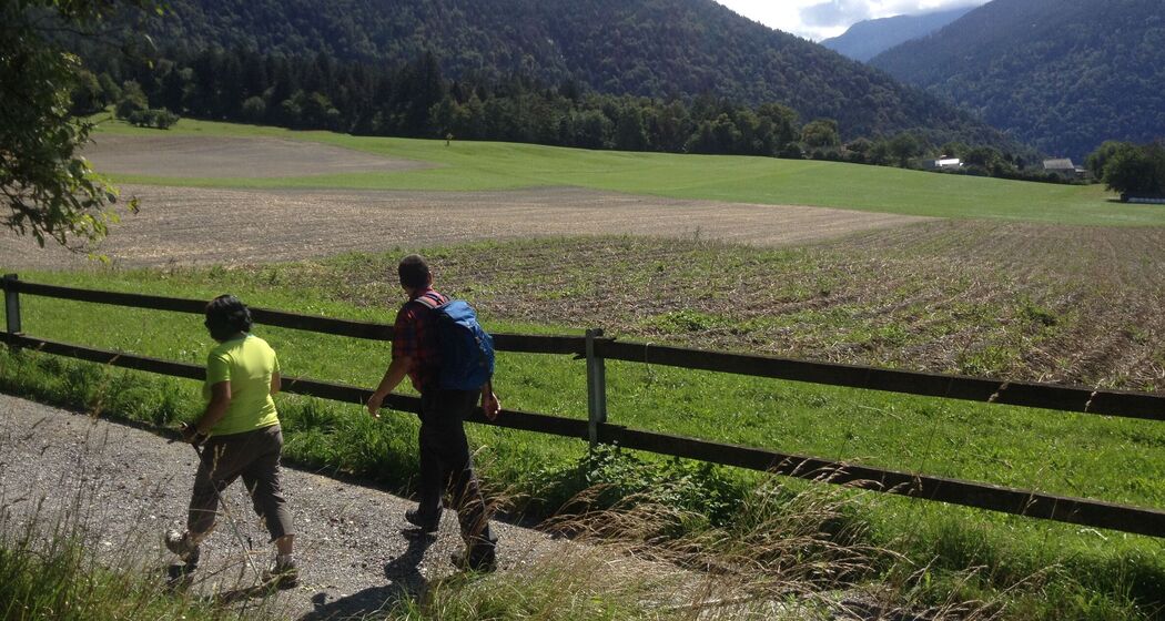 Wanderung Churer Höhenweg inkl. Mittagessen in drei Restaurants (exp_497ea63)
