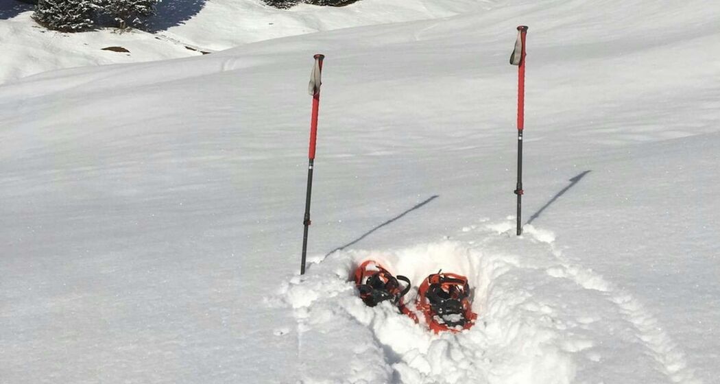 Private Schneeschuhwanderung in Lenzerheide (exp_49bb006)