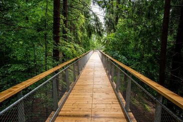 Ticket Baumwipfelpfad (exp_5021abf)