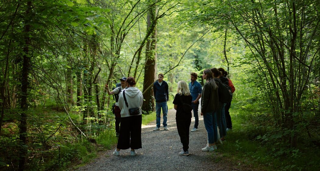 Wildtierbeobachtung Fledermaus im Heidiland (exp_5421d94)