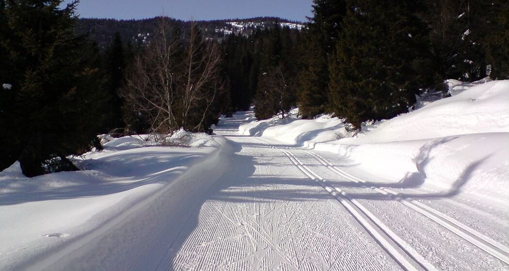 Langlauf Unterricht privat in St. Moritz (exp_6972c67)