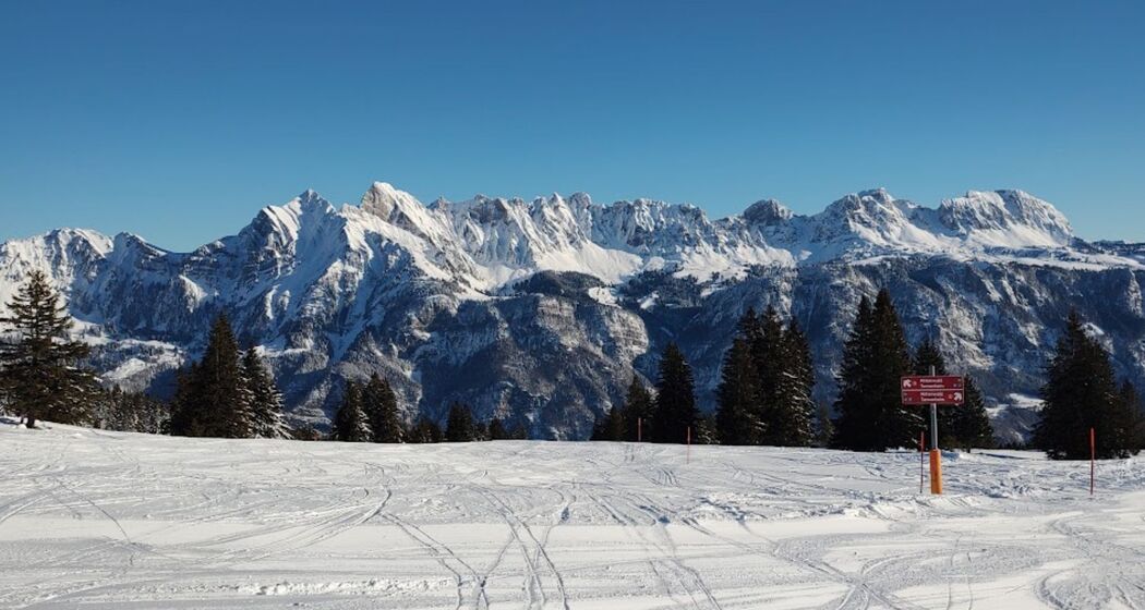 Privater Skikurs für Erwachsene und Kinder Flumserberg (exp_714cdb1)