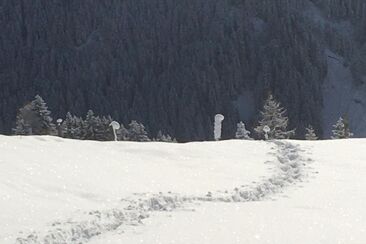 Private Schneeschuhwanderung in Lenzerheide (exp_71bf67b)