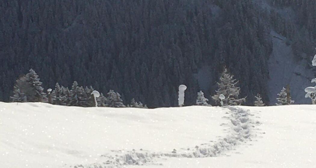 Private Schneeschuhwanderung in Lenzerheide (exp_71bf67b)