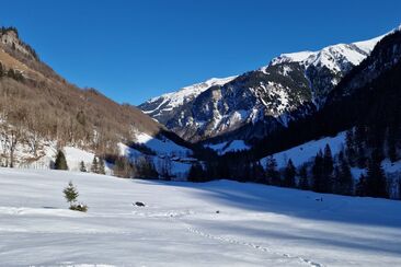 Expérience nature hivernale dans la vallée de Weisstannen (exp_79ff39d)
