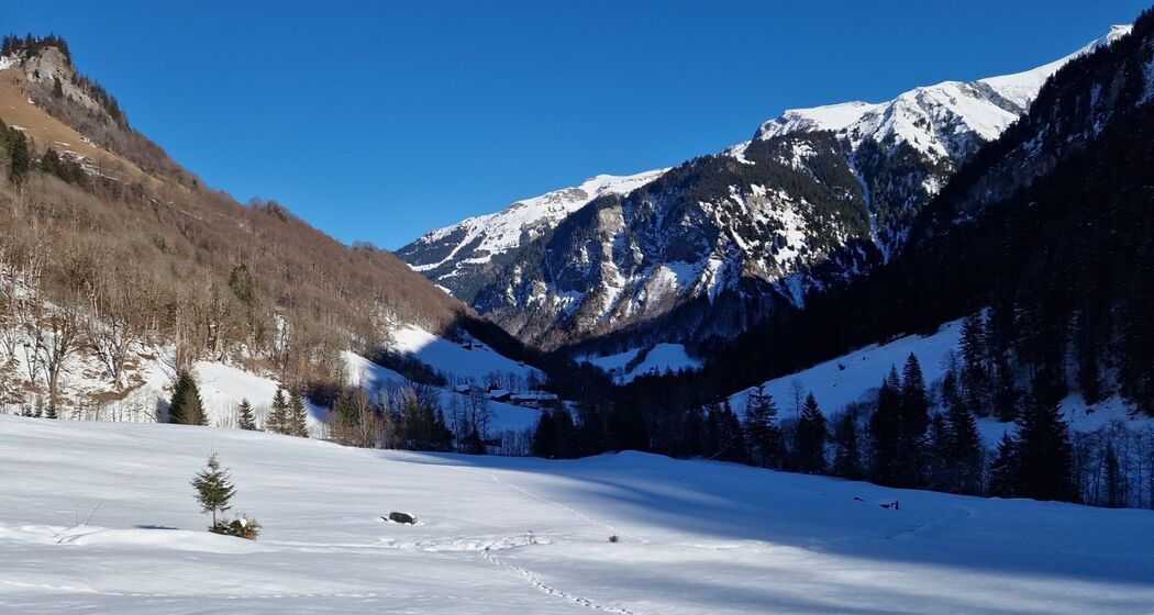 Winterliches Naturerlebnis im Weisstannental (exp_79ff39d)