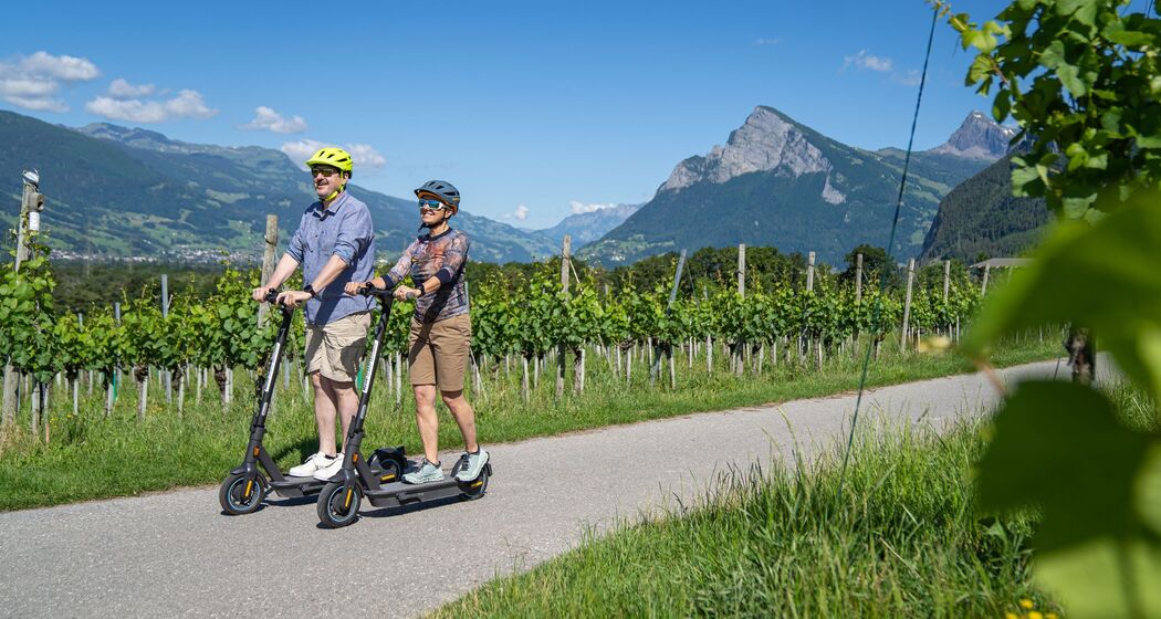 E-Scooter Picknick Tour Bündner Herrschaft selbstgeführt (exp_8763db9)