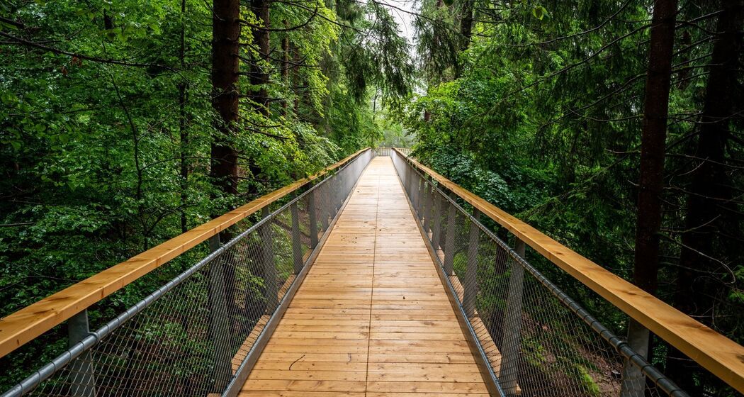 Ticket Baumwipfelpfad (exp_8e2803e)