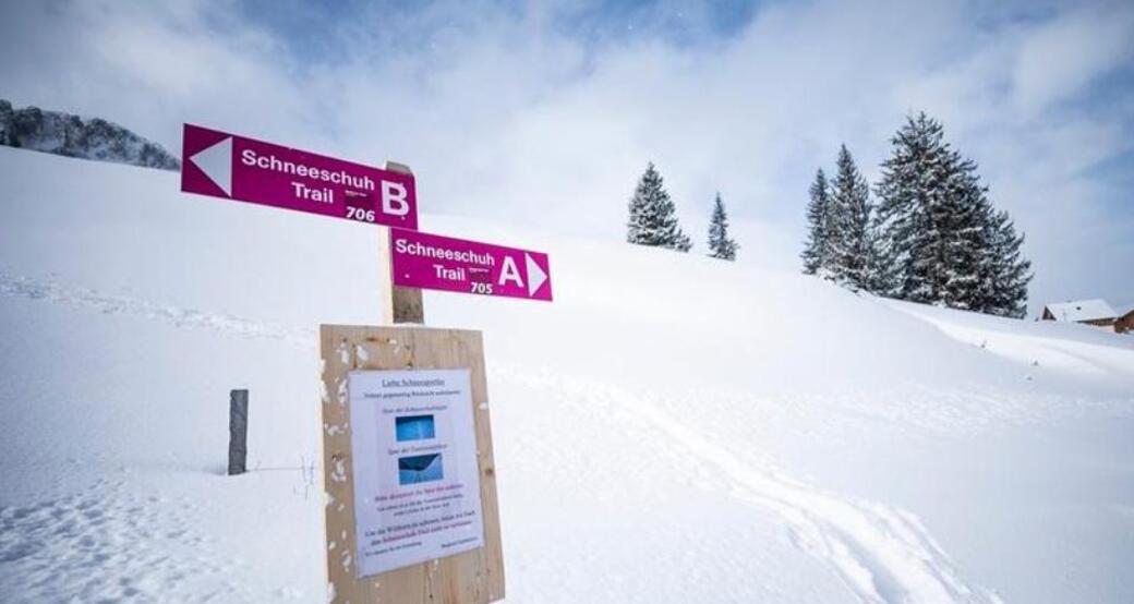 Schneeschuhwandern inkl. Ticket Seilbahn und Käsefondue ab Flums (exp_8ed7594)