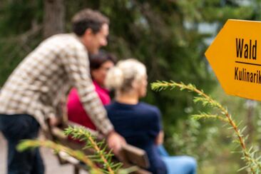 Rando culinaire "Forêt et Eau" au départ de Flims (exp_953422a)