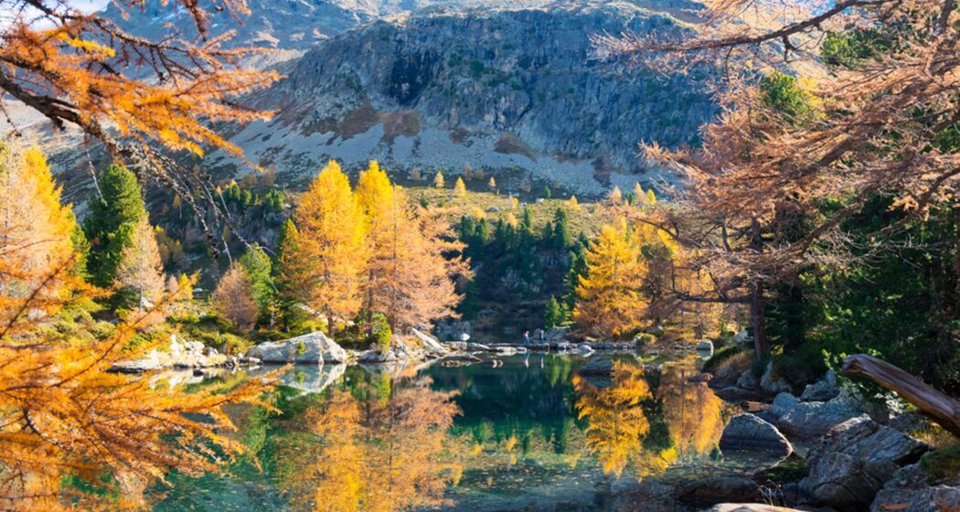 Privater Kurs Lärchen-Zauber fotografieren im Engadin (exp_9b1b7d7)