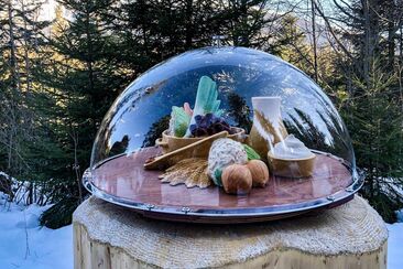 Circuit culinaire forêt et hiver en autonomie (exp_b6a0a36)