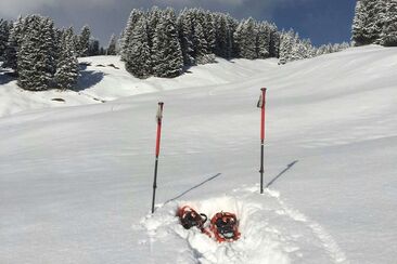 Randonnée en raquettes privée à Arosa (exp_bd86d7e)