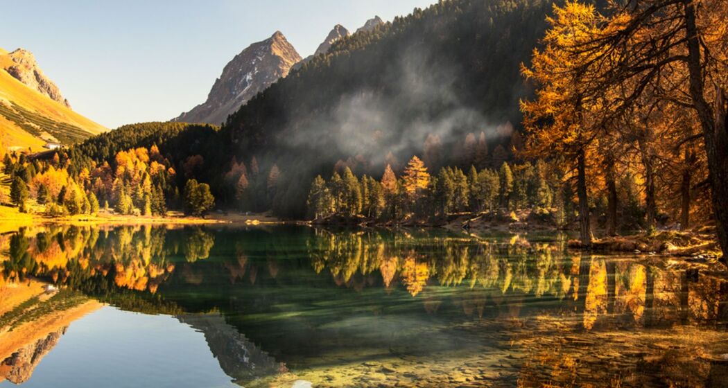 Privater Kurs Lärchen-Zauber fotografieren im Engadin (exp_bd9d1f2)