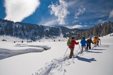 Wildlife experience on snowshoes at Flumserberg (exp_c88db2b)