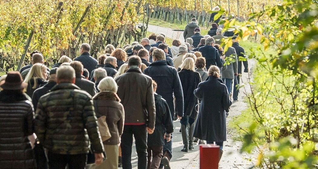Weintour für grosse Gruppen (exp_d611a04)