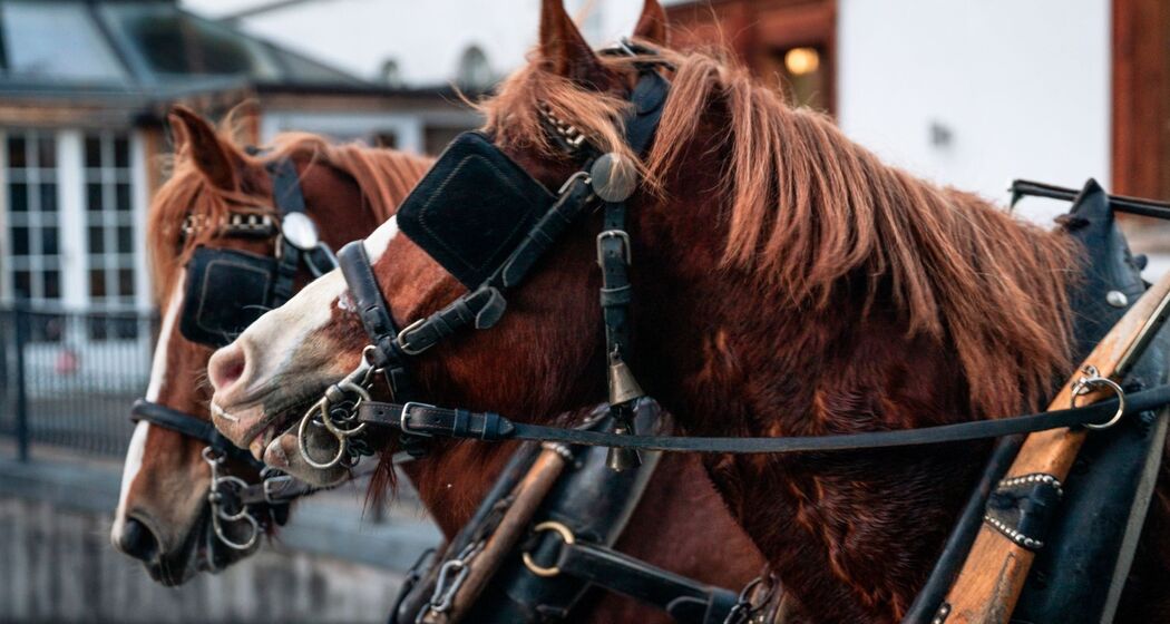 Kutschenfahrt Taminaschlucht und Altes Bad Pfäfers ab Bad Ragaz (exp_d86bd6e)