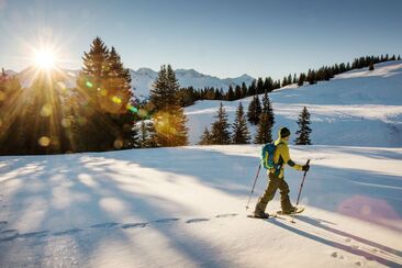 Schneeschuhwanderung Pradaschier ab Chur inkl. Spezialitäten Lunch und Bahnticket (exp_ef1a869)