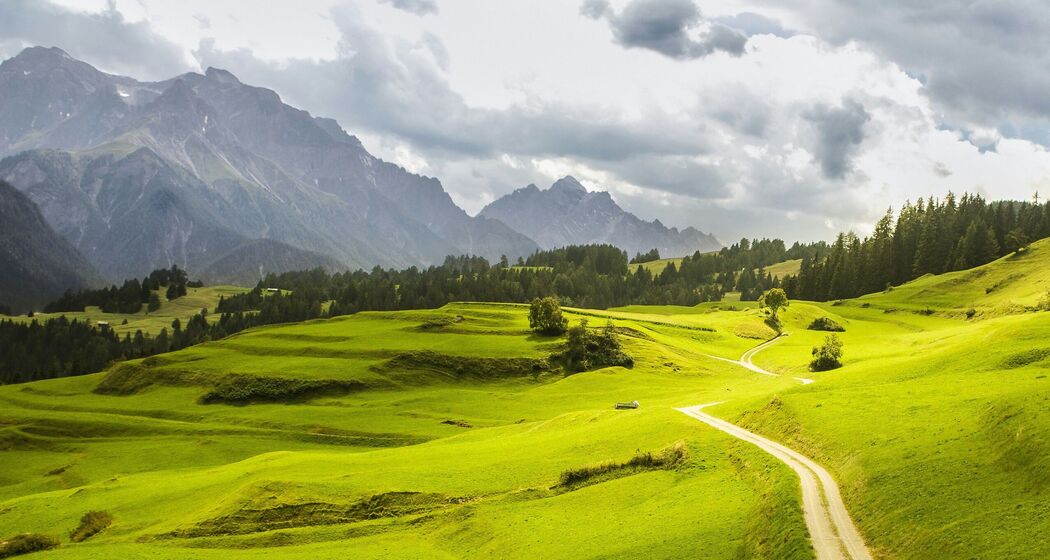 Val Sinestra Postauto Ticket ab Scuol retour (exp_f295454)