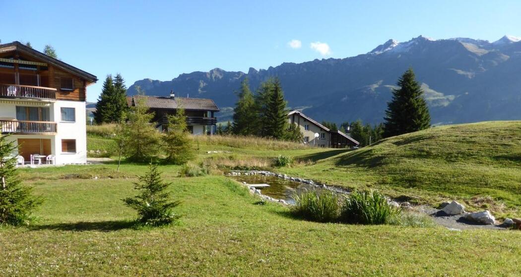 Aussenansicht Sommer