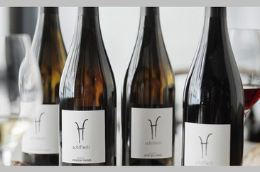 «graubündenVIVA im Fokus» Zu Besuch beim Weingut Schifferli (efr_img_78c146d)