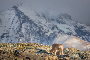 Explora: Patagonien (efr_img_8855be9)