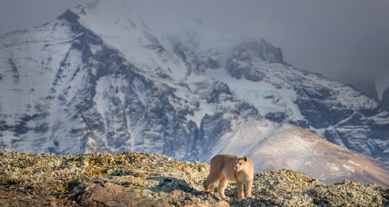 Explora: Patagonien (efr_img_8855be9)