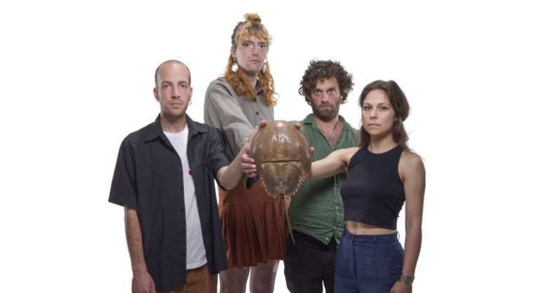 Killer Whales Music Theory (Koop. mit Suisse Diagonales Jazz (efr_img_ad1e924)