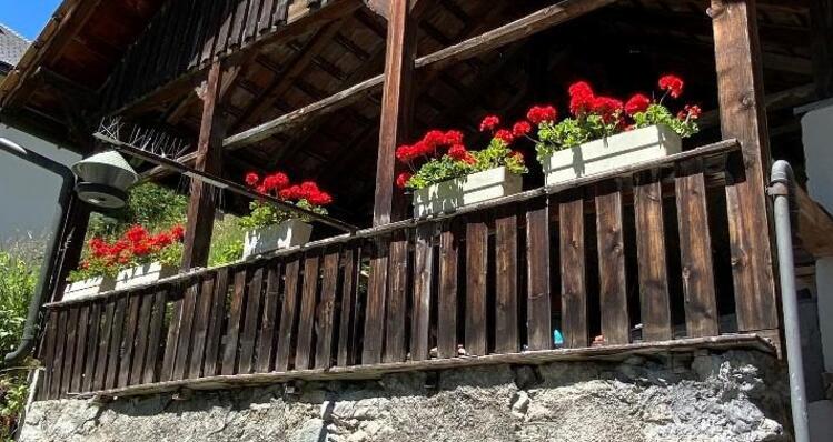 Pergola und Bikeabstellplatz