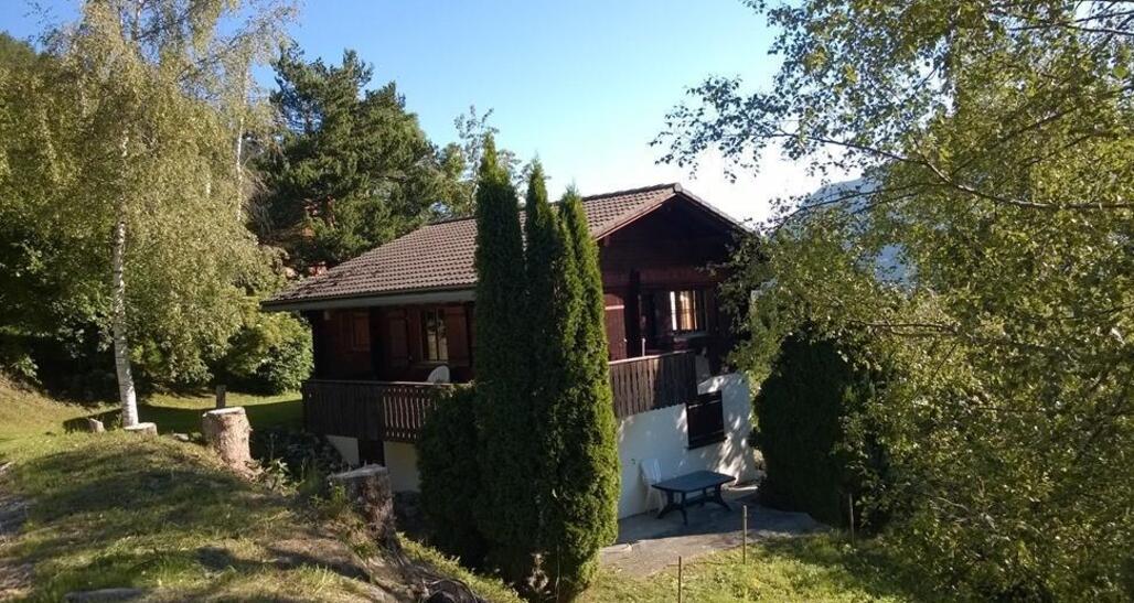 Aussenansicht Sommer