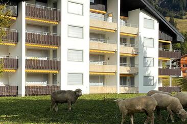 Triangel D Sommer hinten Web