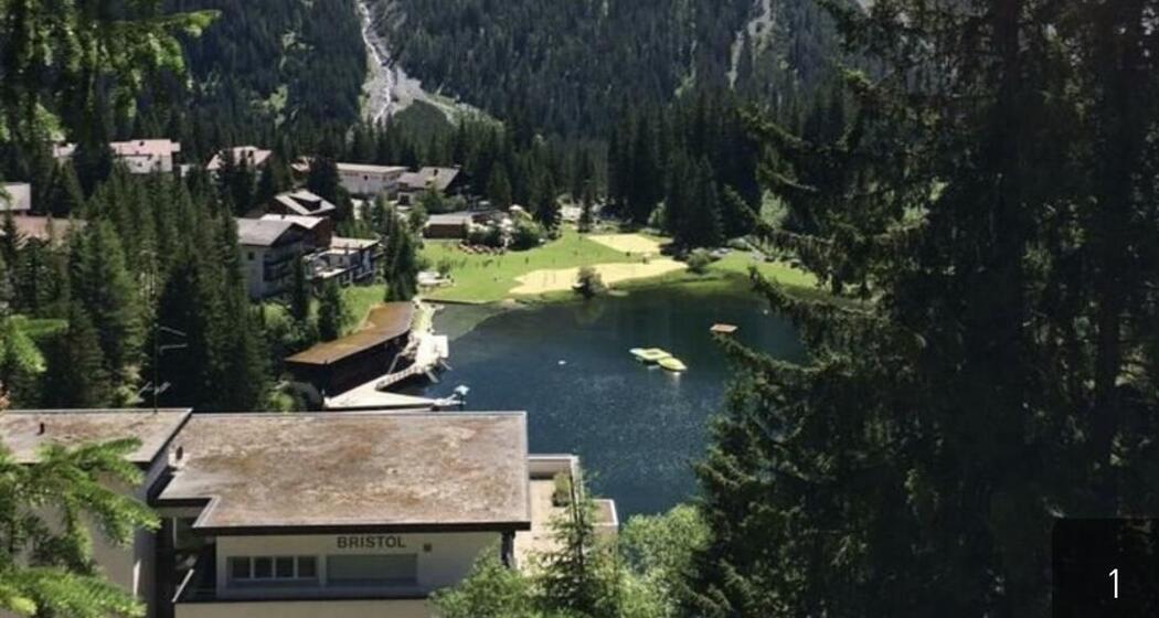 Sommersicht auf den Untersee