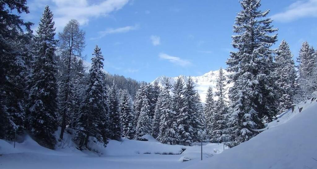 Umgebung Rothornblick, 2