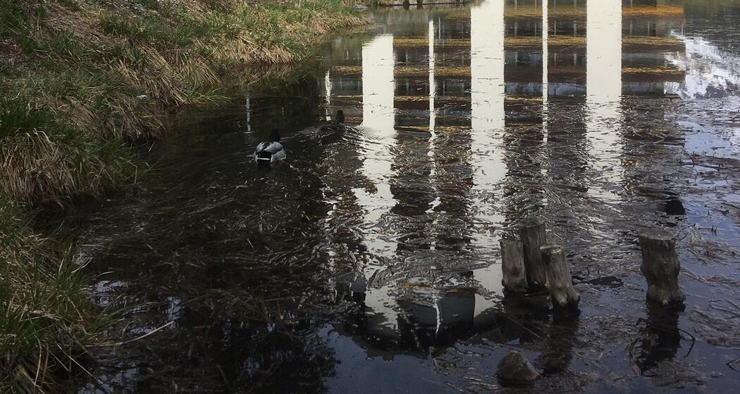 Sicht Rothornblick Westseite mit Teich