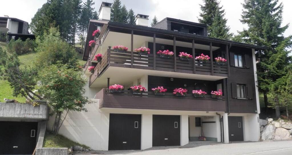 Barlangia Westansicht