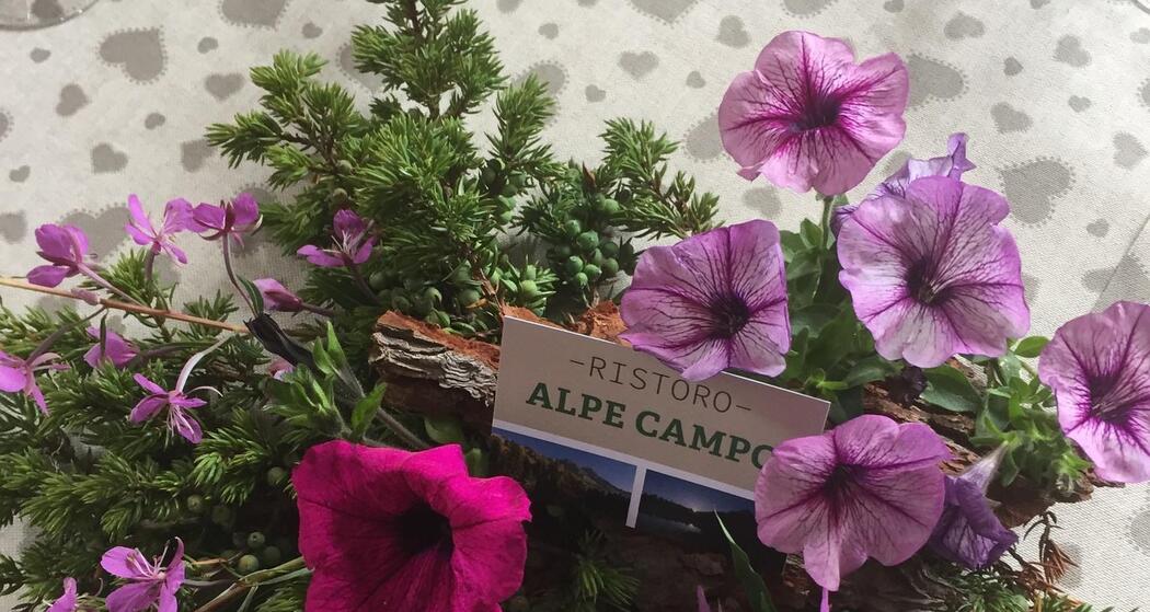 AD0755D3-442F-4720-B0A6-EE1146FEF90A