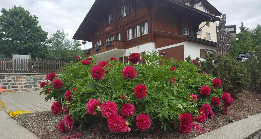 Gebäudeansicht Sommer