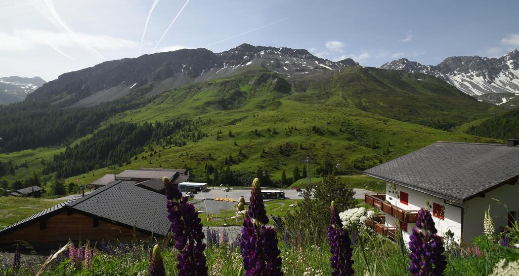 Aussicht zum Hörnli-Express