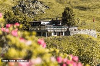 Alpenblick Bergsommer