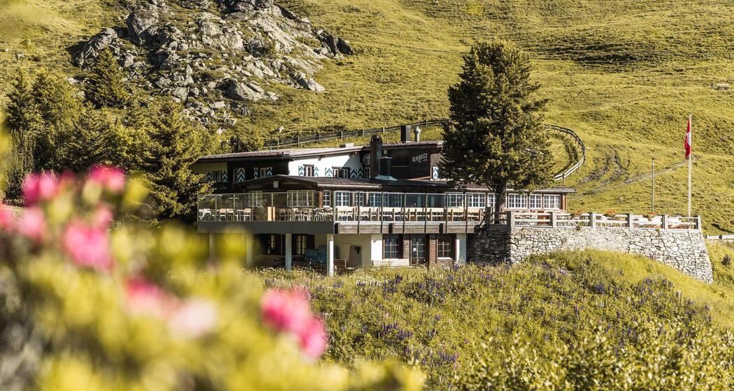 Alpenblick Bergsommer