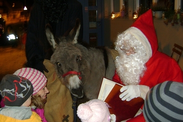 Défilé des Saint-Nicolas à Bad Ragaz (gdl_264862186_image)