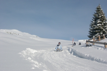 Night sledging (gdl_281043139_image)