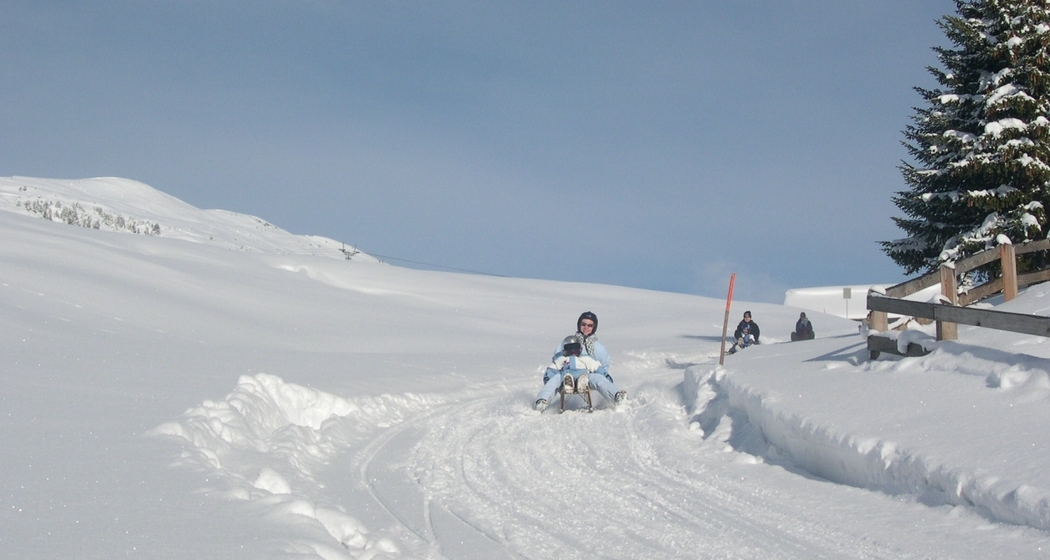 Nachtschlitteln (gdl_281043139_image)