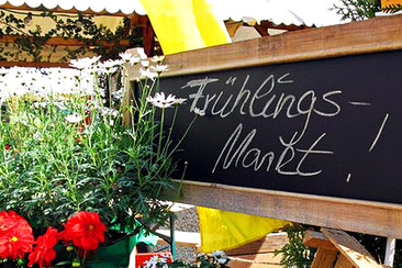 Frühlingsmarkt Bad Ragaz (gdl_403125793_image)
