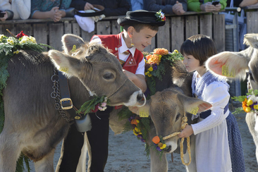 83. OLMA – Schweizer Messe für Landwirtschaft und Ernährung (gdl_404408838_image)